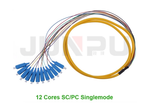 12 Adern SC/PC 900µm Bündel-Fan-out Glasfaser-Pigtail