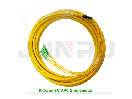12 Adern SC/PC 900µm Bündel-Fan-out LWL-Pigtail
