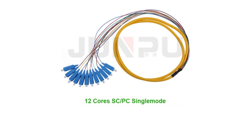 12-adriges SC/PC 900μm Bündel-Fanout Glasfaser-Pigtail